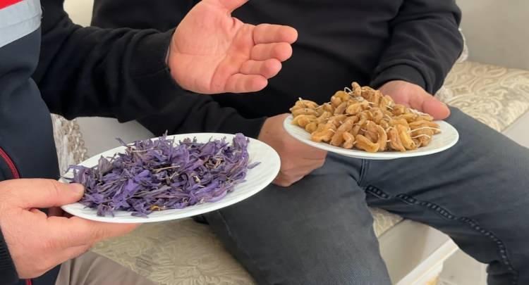 <p><span style="color:#A52A2A"><strong>"BU İKLİMDE BU &Uuml;R&Uuml;NLER TUTMAZ"</strong></span></p>

<p>&nbsp;</p>

<p>Kerim Erişmiş, iki yıl &ouml;nce &ccedil;evresinden gelen "<strong><em>Boşuna uğraşma, bu iklimde bu &uuml;r&uuml;nler tutmaz, başaramayacaksın."</em></strong> diyenlere kulaklarını tıkadı ve tarlasını bir inovasyon merkezine d&ouml;n&uuml;şt&uuml;rd&uuml;.</p>
