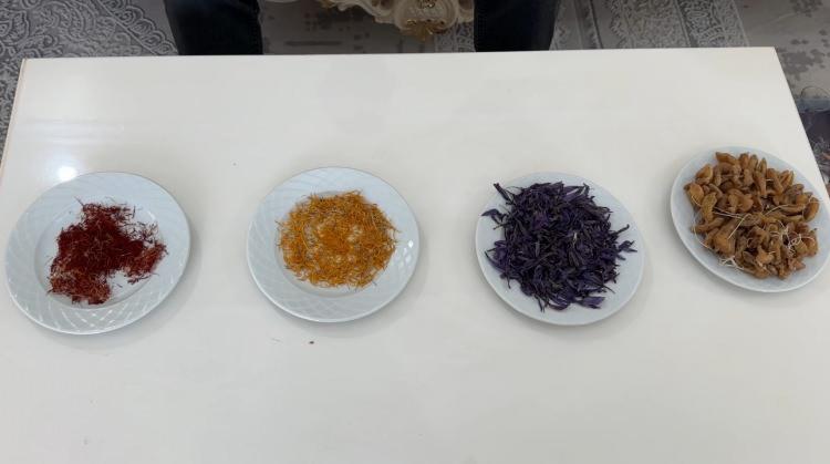 <p><span style="color:#A52A2A"><strong>İLK HASADINI ALDI&nbsp;</strong></span></p>

<p>&nbsp;</p>

<p>İlk hasadını başarıyla ger&ccedil;ekleştiren Erişmiş, şimdi kendi elleriyle topladığı safranları demliyor, saleplerini pişiriyor.&nbsp;</p>
