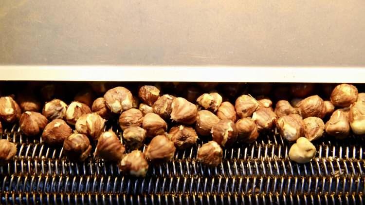 <p><span style="color:#B22222"><strong>B&Ouml;LGE EKONOMİSİNE DE KATKI SAĞLIYOR</strong></span></p>

<p><strong>Gen&ccedil; girişimci Esma Simay, fındığı işleyerek krokan, ezme ve i&ccedil; fındık gibi &uuml;r&uuml;nleri d&ouml;n&uuml;şt&uuml;r&uuml;yor. Bu sayede Gemici, bulunduğu b&ouml;lgenin ekonomisine de katkı sağlıyor.</strong></p>
