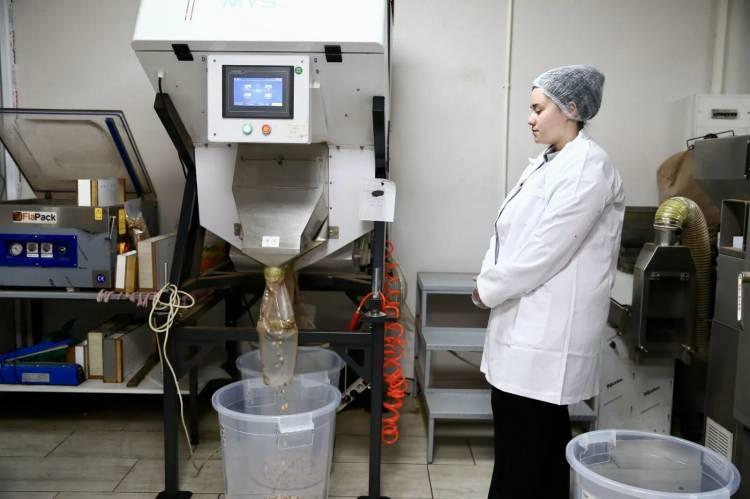 <p><strong>İşini severek yaptığını belirten Gemici, "Bu iş yeri sayesinde fındığa değer katmış olduk. Kırma, kavurma ve paketleme ile krokan ve ezme de yapıyoruz. B&ouml;ylelikle fındık değerlenmiş oluyor." şeklinde konuştu.</strong></p>
