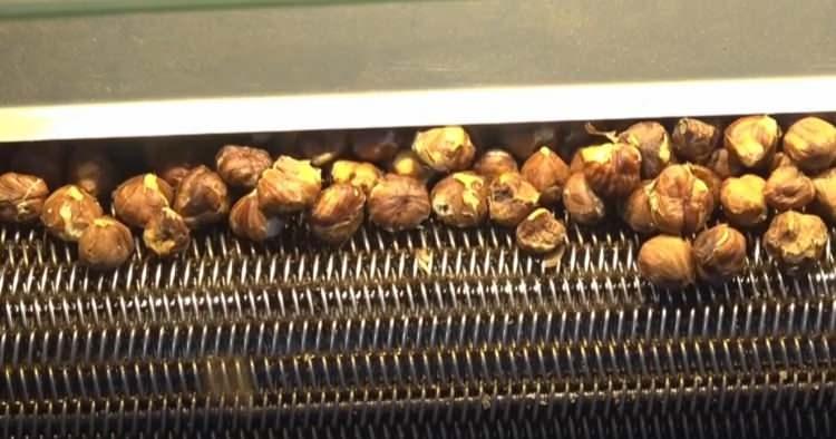 <p><strong>Esma Simay Gemici, İl Tarım ve Orman M&uuml;d&uuml;rl&uuml;ğ&uuml;ne kendisine bu fırsatı sundukları i&ccedil;in teşekk&uuml;r etti</strong>.</p>
