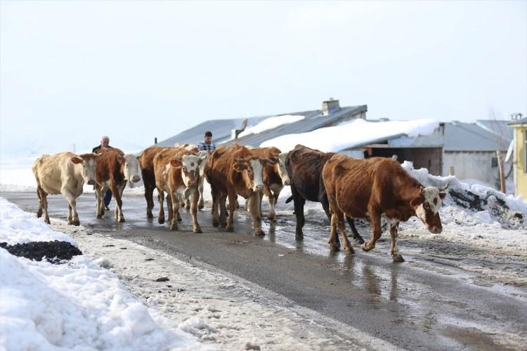 Devletten aldıkları 10 milyon destek ile hayatları değişti 