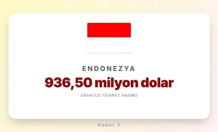 <p><span style="color:#B22222"><strong>8)&nbsp; ENDONEZYA</strong></span></p>
