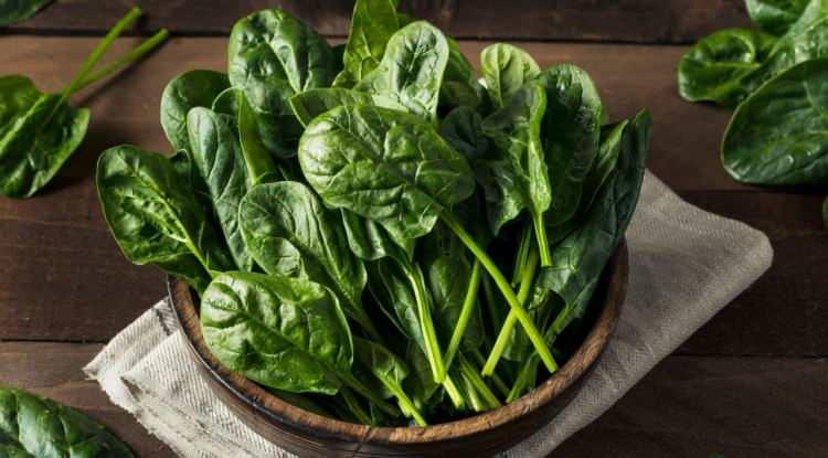 <p><strong>Ispanak ve domates gibi sebzeler ise antioksidan bakımından olduk&ccedil;a zengindir.</strong></p>
