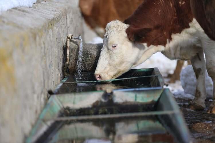 Devletten aldıkları 10 milyon destek ile hayatları değişti 