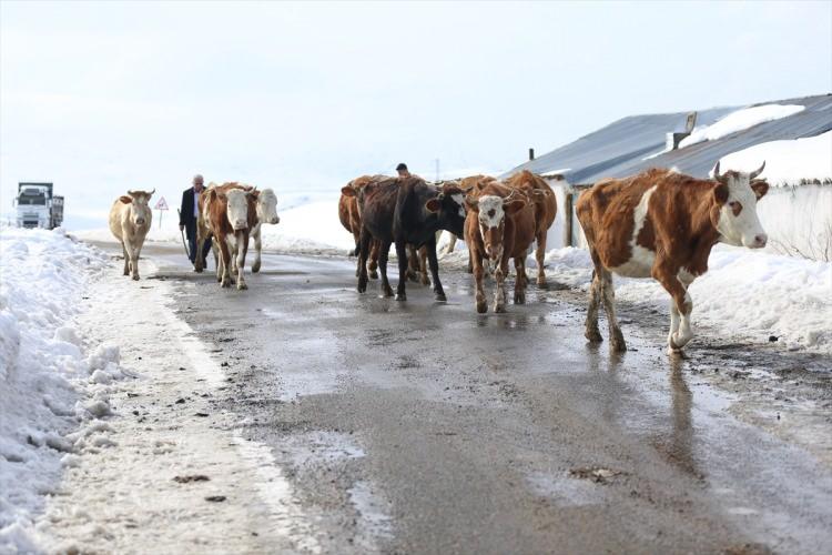 Devletten aldıkları 10 milyon destek ile hayatları değişti 
