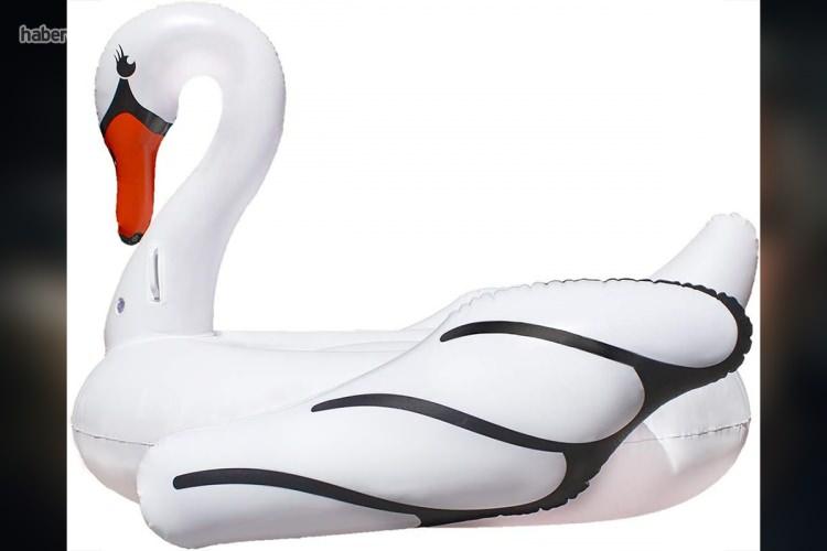 <p><strong><span style="color:#B22222">HAVUZ KUĞUSU&nbsp;</span> |&nbsp; 58 DOLAR&nbsp; (&Ccedil;ok sayıda)</strong></p>
