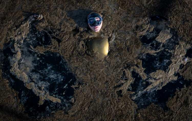 <p>"Doğal Yaşam ve &Ccedil;evre" kategorisinde ise Erdoğan, Şebnem Coşkun'un &ccedil;ektiği "Kirli kanatlar" başlıklı fotoğrafı oyladı.</p>

<p>&nbsp;</p>
