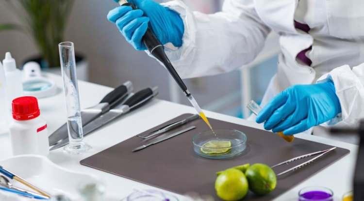 <p><strong>Sağlığın anahtarı haline gelecek en etkili besinleri mercek altına alan araştırmacılar, binlerce farklı &ccedil;iğ gıda arasından 'olmazsa olmazları' a&ccedil;ıkladı. Bağışıklığı &ccedil;elik gibi yapan, DNA hasarını onaran ve beyin sağlığını koruyan etkili besinler bakın hangileri...</strong></p>
