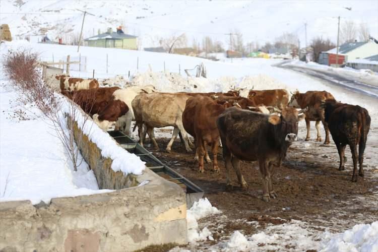 Devletten aldıkları 10 milyon destek ile hayatları değişti 