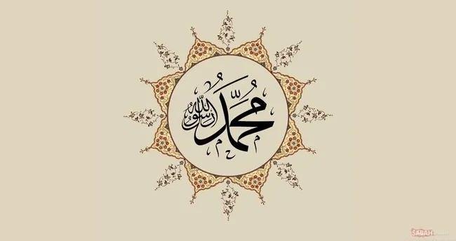 <p><strong><span style="color:inherit">(Allah&rsquo;ım, bize d&icirc;n&icirc; musibet verme! Bize acımayanları başımıza musallat etme!) </span></strong></p>

<p><span style="color:inherit">[Tirmizi]</span></p>

<p>&nbsp;</p>
