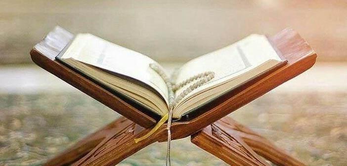 <p><span style="color:inherit"><strong>(Allah&rsquo;ım, kalbimi ve amelimi riyadan, dilimi yalandan, g&ouml;z&uuml;m&uuml; hıyanetten koru!) </strong>[Hatib]</span></p>

<p>&nbsp;</p>
