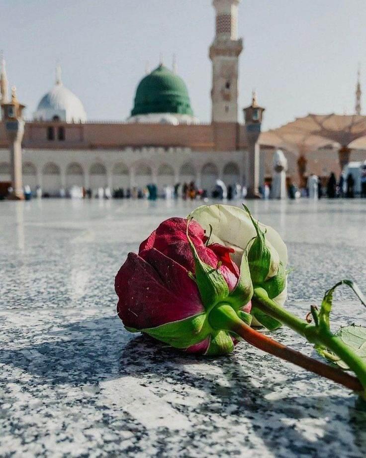 <p><span style="color:inherit"><strong>(Allah&rsquo;ım, bor&ccedil; altında ezilmekten ve d&uuml;şmanın galebesinden sana sığınırım.)</strong> [Nesai]</span></p>

<p>&nbsp;</p>
