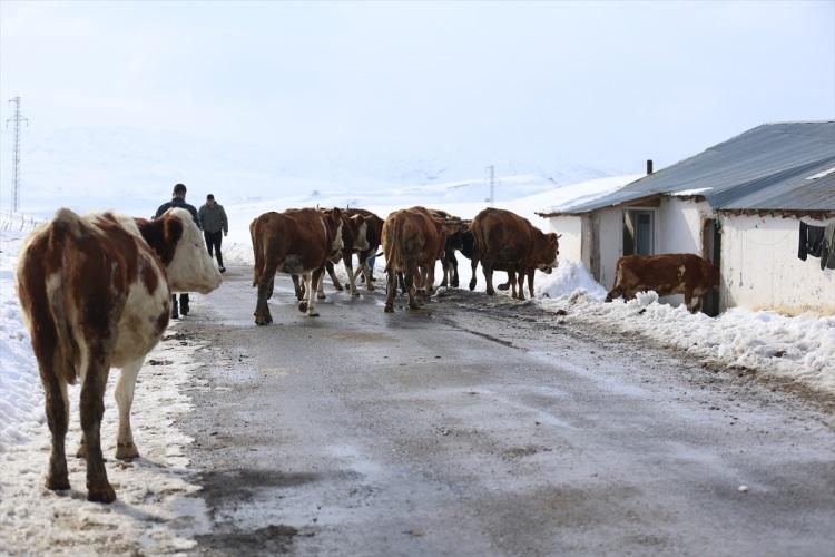 Devletten aldıkları 10 milyon destek ile hayatları değişti 