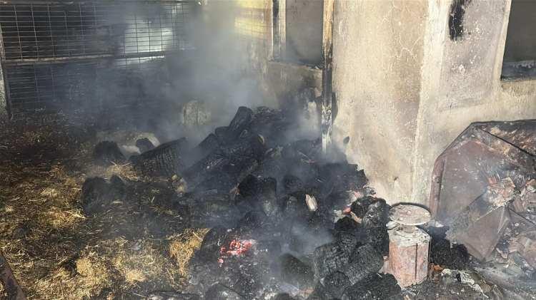 <p>Diğer hayvanlar ise itfaiye ekiplerinin m&uuml;dahalesiyle kurtarılarak g&uuml;venli b&ouml;lgeye taşındı.</p>
