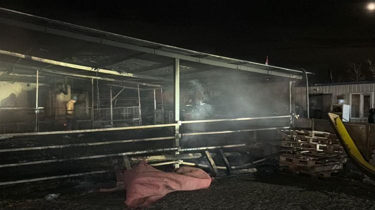 <p><span style="color:#A52A2A"><strong>AHIR B&Uuml;Y&Uuml;K HASAR G&Ouml;RD&Uuml;</strong></span></p>

<p>&nbsp;</p>

<p>Yangında baraka ve ahır b&uuml;y&uuml;k hasar g&ouml;rd&uuml;.&nbsp;</p>
