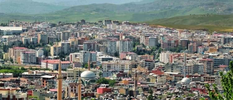 <p>Siirt: Y&uuml;zde 20,3</p>
