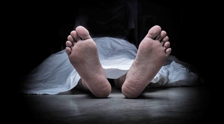 <p><span style="color:#B22222"><strong>EYL&Uuml;L&nbsp;</strong></span></p>

<p><strong>Kadın</strong>: 16 214</p>

<p><strong>Erkek</strong>:&nbsp; 20 655</p>

<p>​</p>
