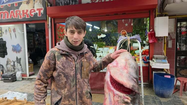 Edirne'de taşkın dev balığı kıyıya attı: Tam 102 kilogram 