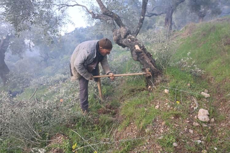 78 yıldır tek bacakla yaşıyor! Mehmet amcanın yaşam azmi ders verdi 