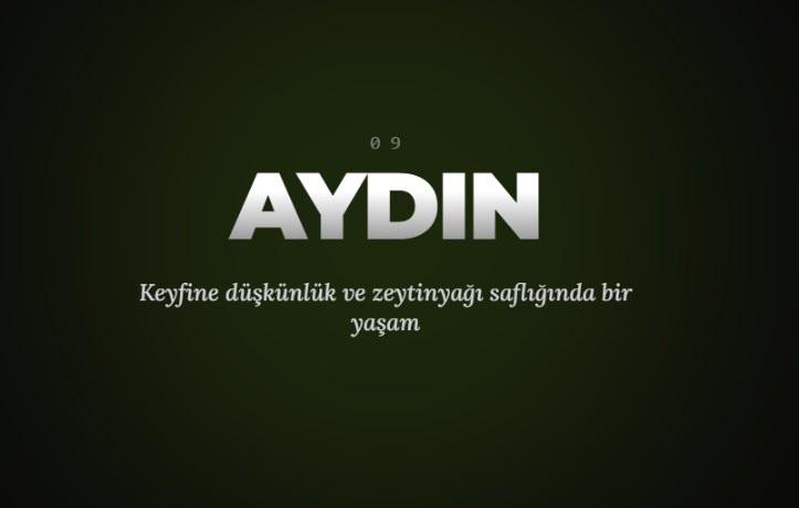 <p><span style="color:#B22222"><strong>AYDIN&nbsp;</strong></span></p>
