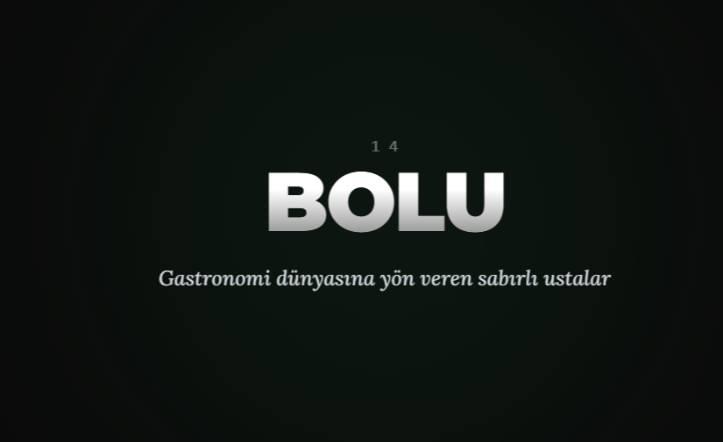 <p><span style="color:#B22222"><strong>BOLU</strong></span></p>
