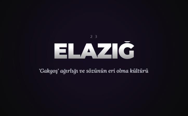 <p><span style="color:#B22222"><strong>ELAZIĞ&nbsp;</strong></span></p>
