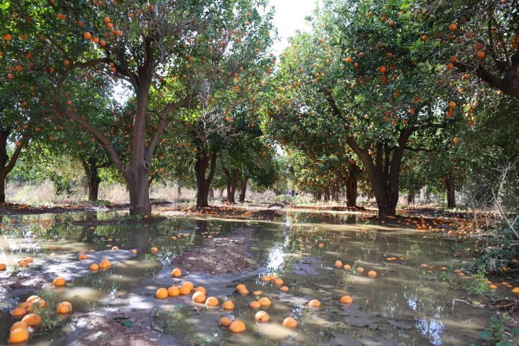 <p>Taşan r&ouml;garlar nedeniyle sokaklar lağım sularıyla doldu.&nbsp;</p>
