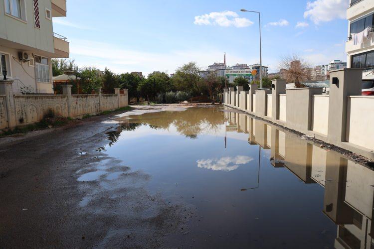 <p>Mahalle sakinlerinden Hikmet Duran da yaşananların &ccedil;ocuklar i&ccedil;in b&uuml;y&uuml;k risk oluşturduğunu belirterek,<em><strong> "&Ccedil;ocuklar hasta olacak. Bu memlekette bu pislik nasıl olur? Kozan &ccedil;ok g&uuml;zel bir il&ccedil;e ama 'makine yok' deniliyor. Koca Kozan'da nasıl ara&ccedil; olmaz? Pisliğin i&ccedil;indeyiz. &Ccedil;ocuklar dışarı &ccedil;ıkamıyor, cam a&ccedil;amıyoruz. Bu durumdan dolayı hayatımız durdu."</strong></em> diye konuştu.</p>
