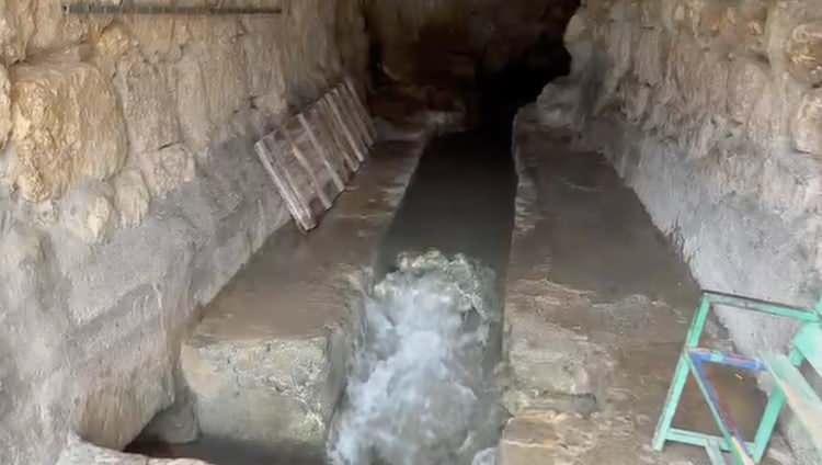 <p><strong>Maşallah bu sene Allah verdi, her taraf coştu. Bu yıl sorunumuz olmaz inşallah. 2010&rsquo;dan beri buraya b&ouml;yle bir su gelmedi. &Ouml;nceleri haziran, temmuza kadar su olurdu, sonra kururdu. Bu yıl inşallah yine akmaya devam edecek.&rdquo;</strong></p>
