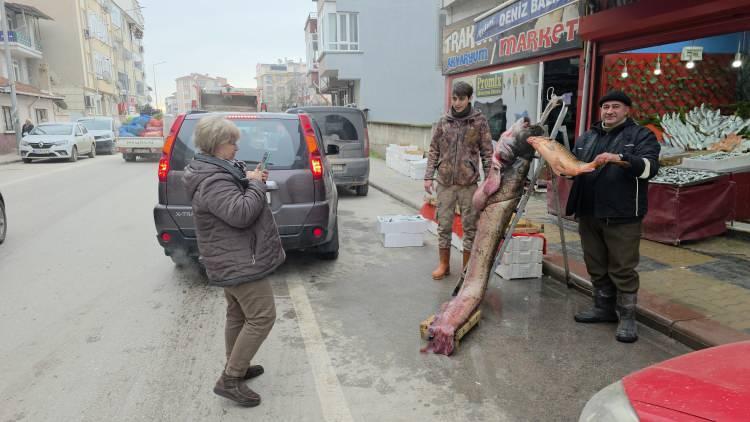 Edirne'de taşkın dev balığı kıyıya attı: Tam 102 kilogram 