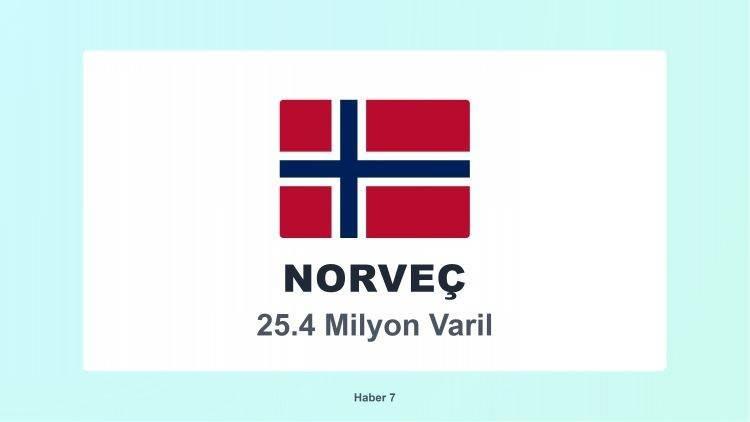 <p><span style="color:#B22222"><strong>NORVE&Ccedil;</strong></span></p>
