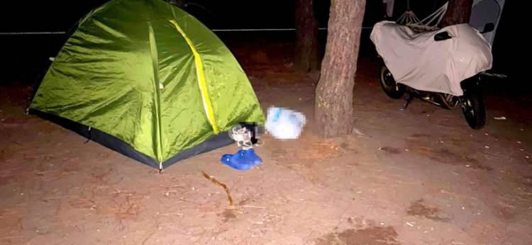 <p>Ağırlaştırılmış m&uuml;ebbet ve 25 yıla kadar hapis cezası istemiyle yargılanmasına başlanacak olan tutuklu Ali Somun&rsquo;un babası Sacit Somun&rsquo;un da olaydan 14 g&uuml;n &ouml;nce Sinem Somun&rsquo;un dedesini cep telefonuyla arayarak,&nbsp;<strong>"Torununuzun ayağını Beşikd&uuml;z&uuml;&rsquo;nden kesin, torununuzu buradan g&ouml;nderin. Ben artık oğlumu engelleyemiyorum, sizi uyarıyorum. Bu saatten sonra torununuzun başına geleceklerden ben mesul değilim"&nbsp;</strong>dediği &ouml;ne s&uuml;r&uuml;ld&uuml;.</p>
