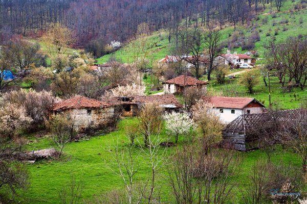 <p><span style="color:#0000CD"><strong>İşte, T&uuml;rkiye'nin en az n&uuml;fuslu 10 k&ouml;y&uuml;...</strong></span></p>
