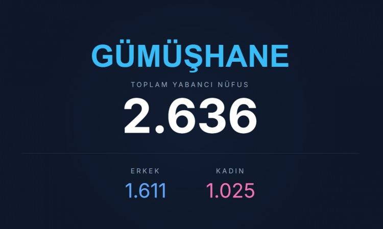 <p><span style="color:#B22222"><strong>G&Uuml;M&Uuml;ŞHANE</strong></span></p>
