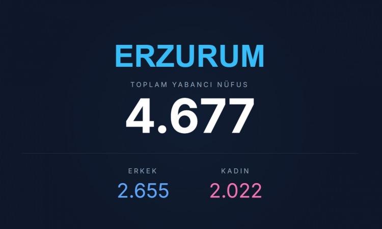 <p><span style="color:#B22222"><strong>ERZURUM</strong></span></p>
