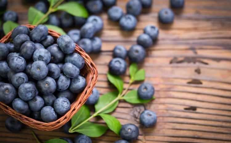 <p><span style="color:#B22222"><strong>90 G&Uuml;NDE YAĞ H&Uuml;CRELERİNİ YOK EDİYOR</strong></span></p>

<p>Barnard, faydaları saymakla bitmeyen yaban mersininin kilo verme s&uuml;recinde en etkili besinlerin başında yer aldığını a&ccedil;ıkladı.&nbsp;</p>
