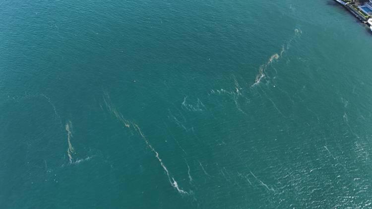 <p>Havadan g&ouml;r&uuml;nt&uuml;lenen b&ouml;lgede, su y&uuml;zeyini kaplayan y&uuml;zlerce denizanası ve beraberindeki atıklar durumun vehametini ortaya koydu.</p>

<p>&nbsp;</p>
