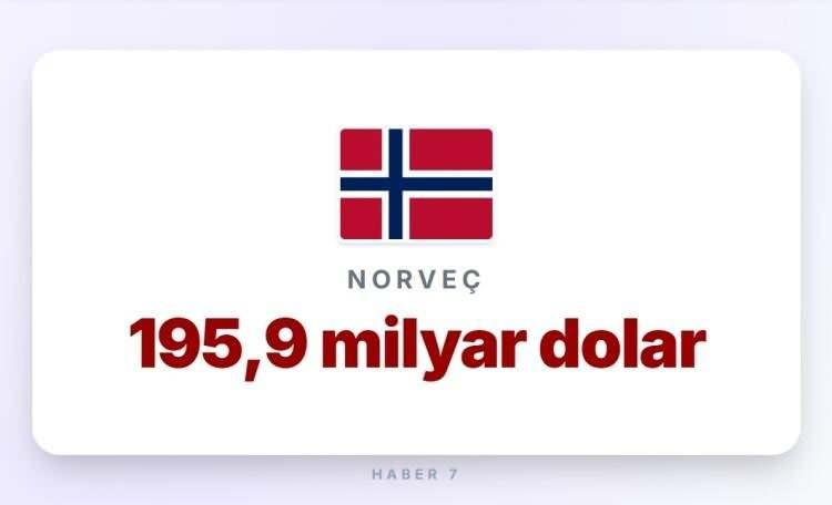 <p><span style="color:#B22222"><strong>16)&nbsp; NORVE&Ccedil;</strong></span></p>
