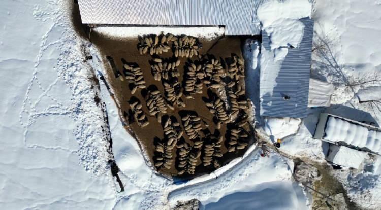 <p>Yıllarca burada &ccedil;alışarak ge&ccedil;imini sağlayan Polat,<span style="color:#A52A2A"><strong><em> 5 yıl &ouml;nce doğup b&uuml;y&uuml;d&uuml;ğ&uuml; mahallesine geri d&ouml;nd&uuml;.</em></strong></span></p>
