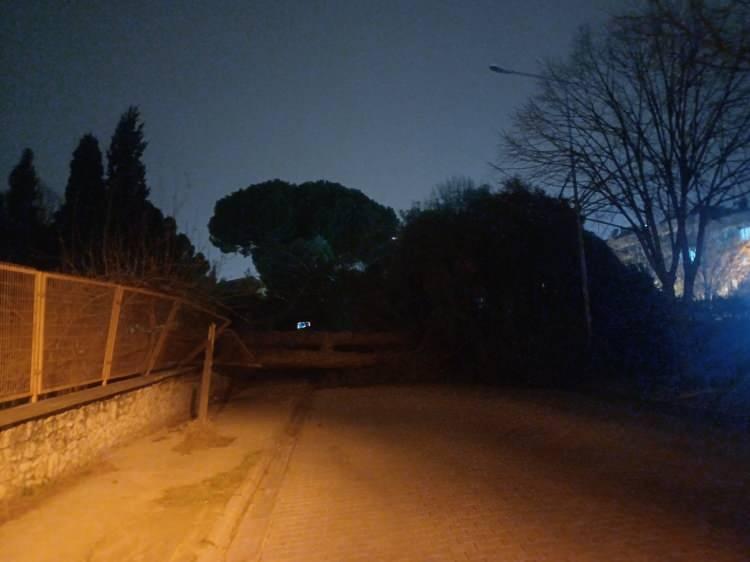 <p><span style="color:#A52A2A"><strong>DEVRİLEN AĞA&Ccedil; DEMİRYOLU HATTINA D&Uuml;ŞT&Uuml;<br />
​</strong></span></p>

<p>Fevzipaşa Caddesi'nde bulunan &ccedil;am ağa&ccedil;larının demiryolu hattı &uuml;zerine d&uuml;şmesi nedeniyle hat bir s&uuml;re ulaşıma kapatıldı.</p>
