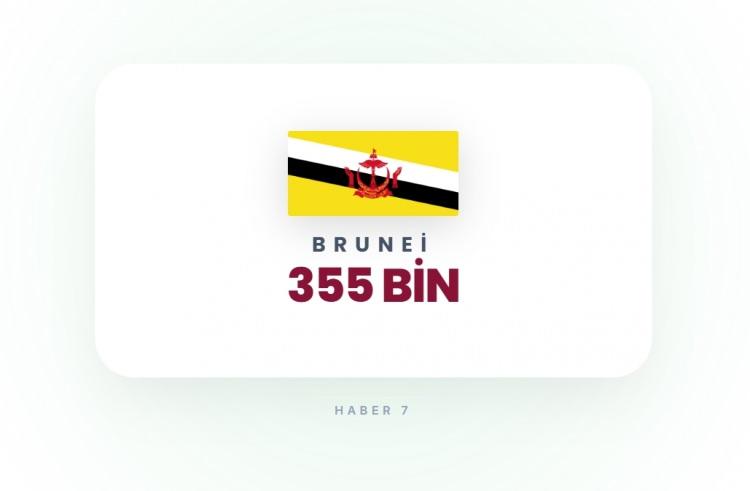 <p><span style="color:#B22222"><strong>BRUNEI</strong></span></p>
