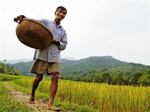 <p><strong>Yaşlı adamı, ailesi ve komşuları da yıllardır bir kez uyurken g&ouml;rmemiş. Hatta, 2023 yılında gezgin YouTuber Drew Binsky, Ngoc ile bir g&uuml;n ge&ccedil;irdi ve s&uuml;rekli aktif kaldığını videosunda paylaştı.</strong></p>
