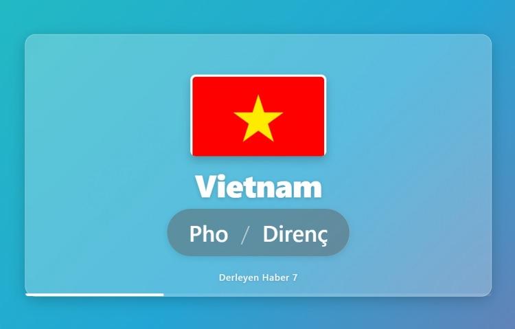 <p><span style="color:#B22222"><strong>VİETNAM</strong></span></p>
