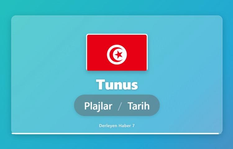 <p><span style="color:#B22222"><strong>TUNUS</strong></span></p>
