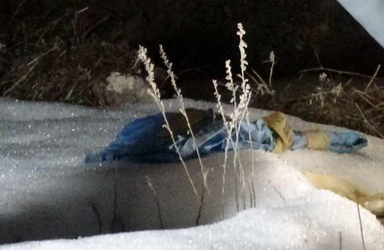 Erzurum'da mezarlıkta ş&uuml;pheli &ccedil;&ouml;p poşeti: Acı ger&ccedil;ek ortaya &ccedil;ıktı