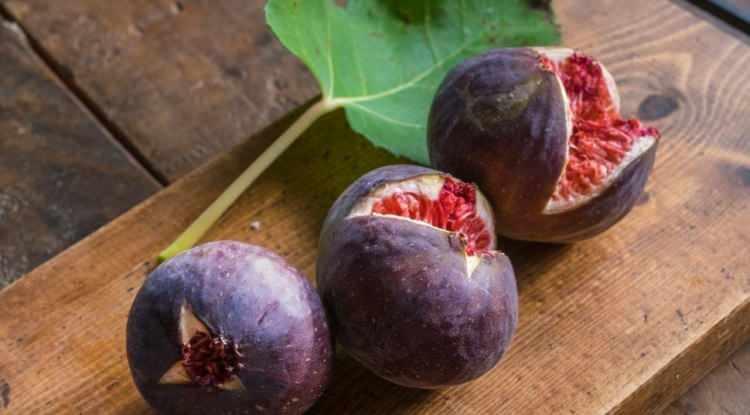 <p><span style="color:#EE82EE"><strong>Kuşaklar boyunca bolluk ve bereketin simgesi olarak anılan incir, adeta doğanın eşsiz hediyelerinden biri. Aromatik tadıyla 7'den 70'e herkesin bayılarak t&uuml;kettiği bu eşsiz lezzet, bu kez TasteAtlas'ın radarına girdi.</strong></span></p>
