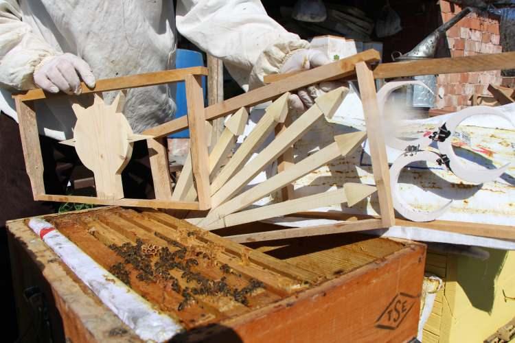 Bu se&ccedil;imi arılar belirleyecek! 3 partinin kıyasıya yarışı eyl&uuml;l ayında son bulacak