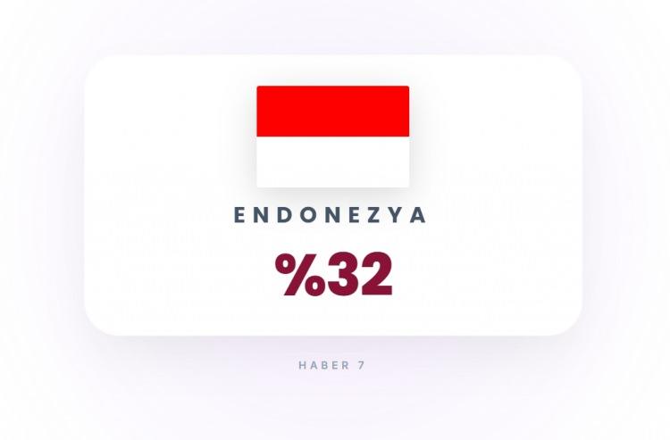 <p><span style="color:#B22222"><strong>22)&nbsp; ENDONEZYA</strong></span></p>
