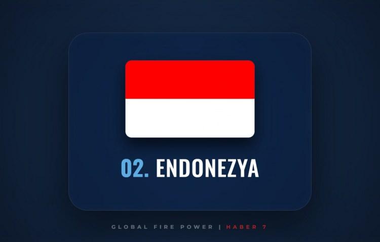 <p><span style="color:#B22222"><strong>2)&nbsp; ENDONEZYA</strong></span></p>
